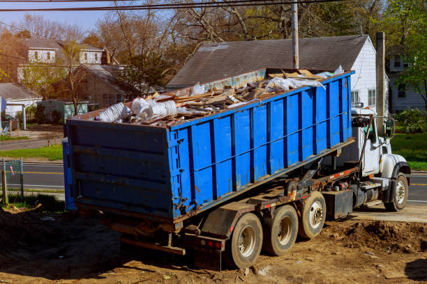 Best Yard Cleanup Services  in Windsor, NC