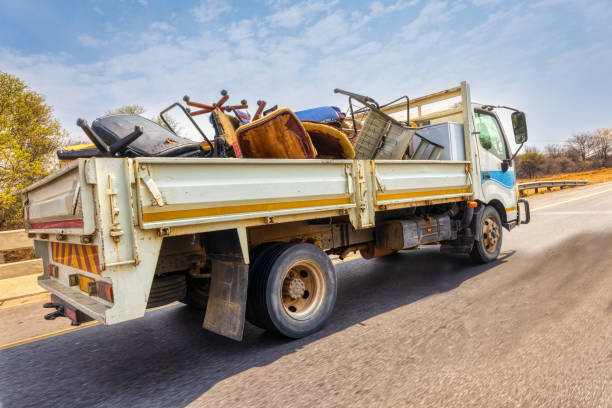 Yard Cleanup Services in Windsor, NC